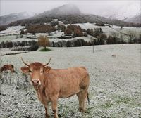 El temporal de lluvia remitirá para dar paso a varias jornadas gélidas, con la cota de nieve a 600-800 metros