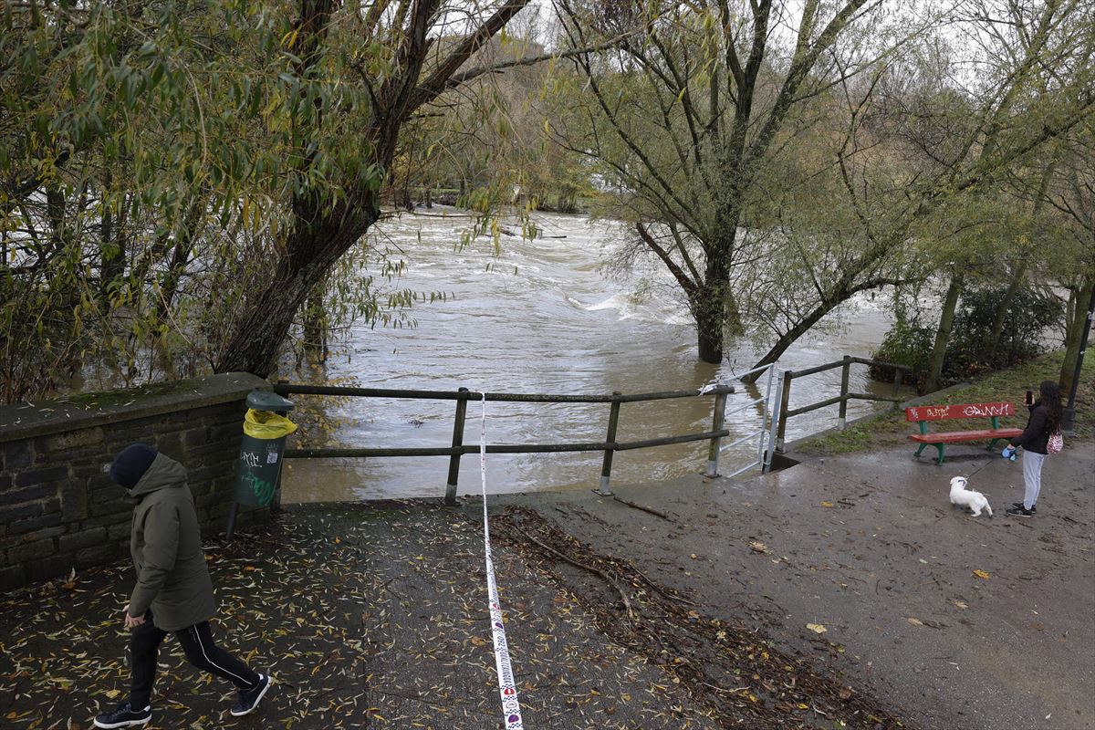 El río Arga este lunes en Pamplona. Foto: EFE