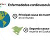 Las enfermedades cardiovasculares, principal causa de defunción en el mundo y la segunda en Euskadi