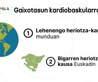 Gaixotasun kardiobaskularrak munduko heriotza-kausa nagusia dira, eta bigarrena, Euskadin