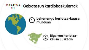 Gaixotasun kardiobaskularrak munduko heriotza-kausa nagusia dira, eta bigarrena Euskadin