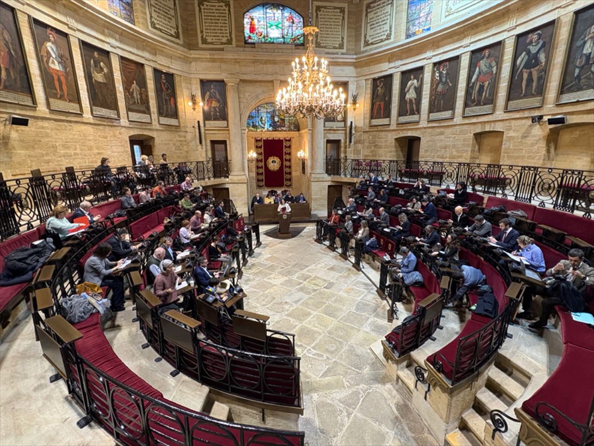 Un pleno en las Juntas Generales de Bizkaia. 