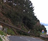 La caída de varios árboles obliga a cortar la carretera N-634 en Deba