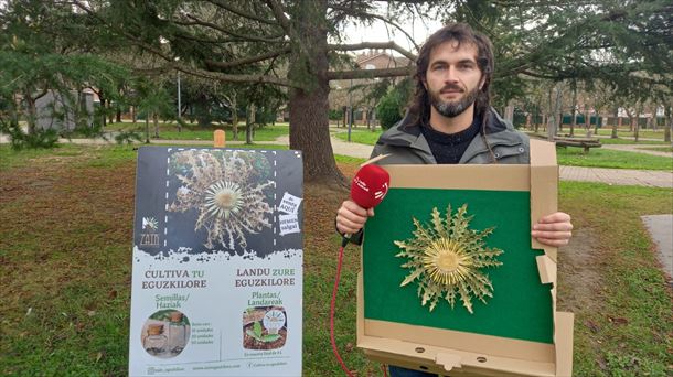 ¿Cómo se cultiva y cuida la Eguzkilore en casa?