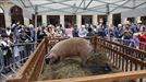 Feria de Santo Tomás en San Sebastián. Foto: EFE