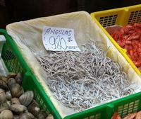 Hoy cenamos: angulas frías o calientes