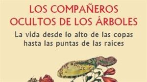 Desciframos el libro 'Los compañeros ocultos de los árboles'