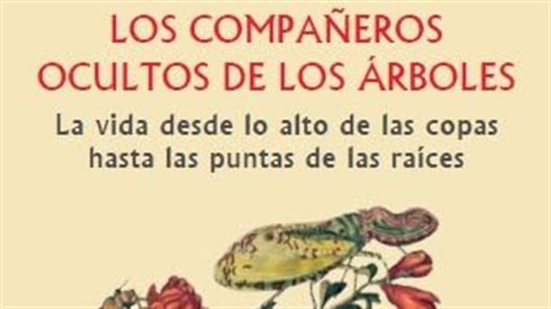 Desciframos el libro 'Los compañeros ocultos de los árboles'