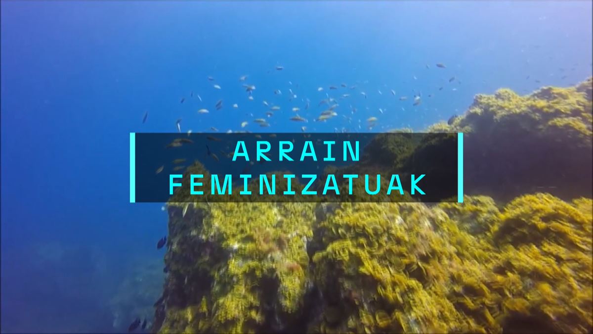 Arrain feminizatuak. EITB Mediaren bideo batetik ateratako irudia.