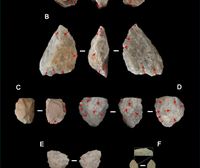 Homo erectus se adaptó a climas extremos. Un megaproyecto industrial amenaza al Observatorio Paranal de Chile