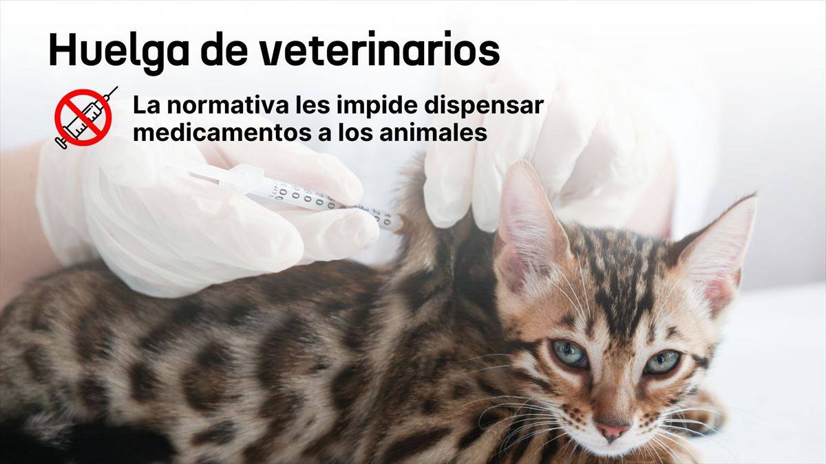 Huelga de veterinarios. Foto: EITB