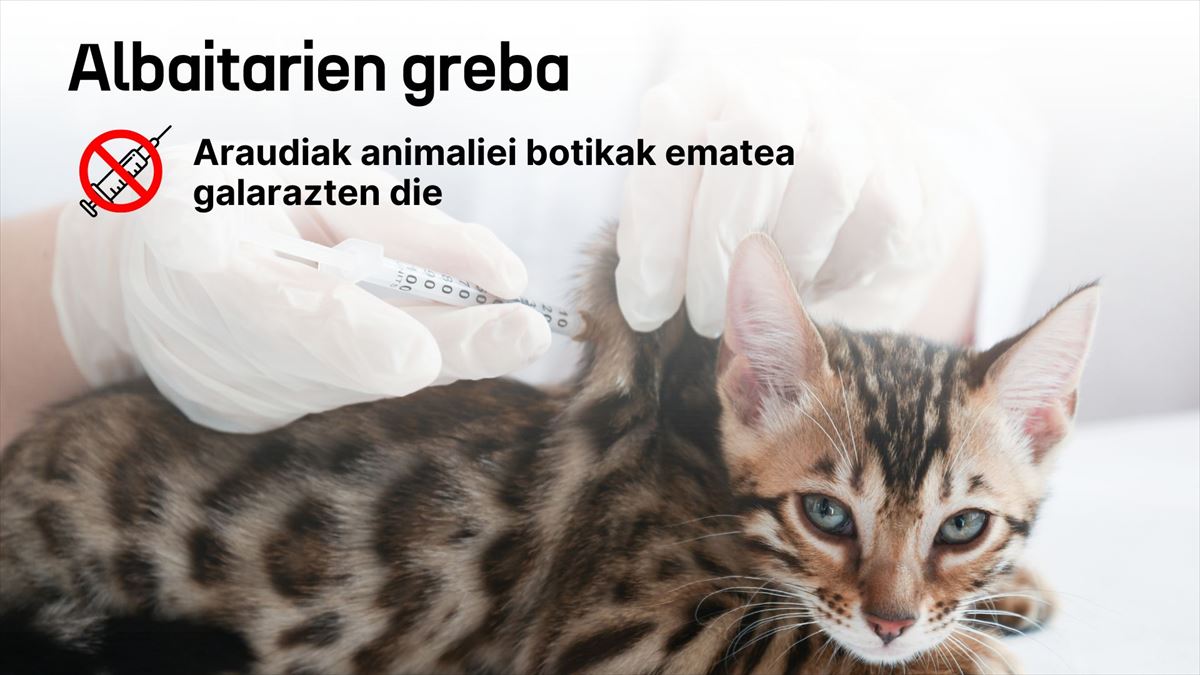 Albaitarien greba. Argazkia: EITB