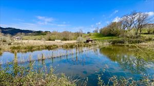 Marismas de Jaitzubia, en Hondarribia, esta mañana. Foto: Jose Maria Vega Nieto. 