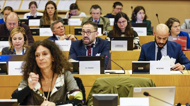 Denis Itxaso en su intervención en Bruselas. Foto: Irekia.