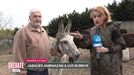 ''La situación de este año ha empeorado por los jabalíes''