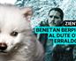 Benetan berreskuratu al dute otso erraldoia, ala espezie berria sortu dute?
