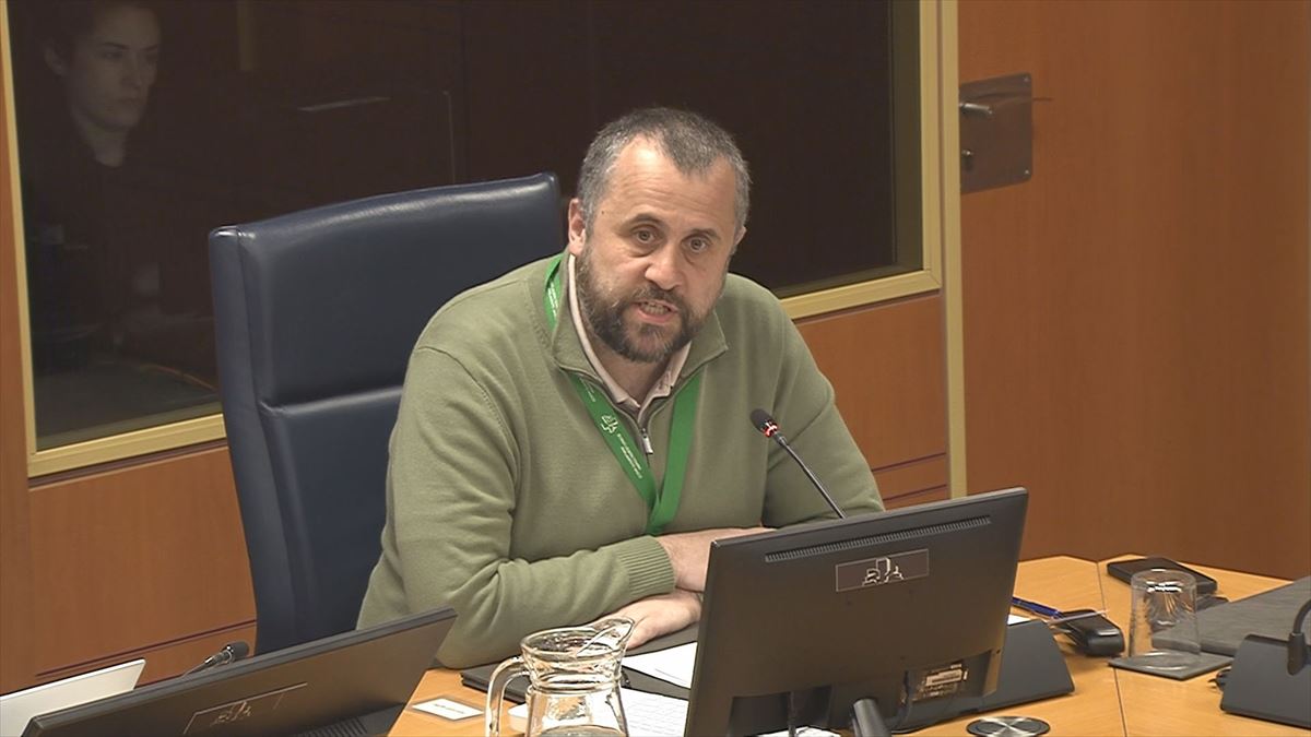 Alberto Alonso, director de Gogora, en la comisión del Parlamento Vasco. Foto: EITB