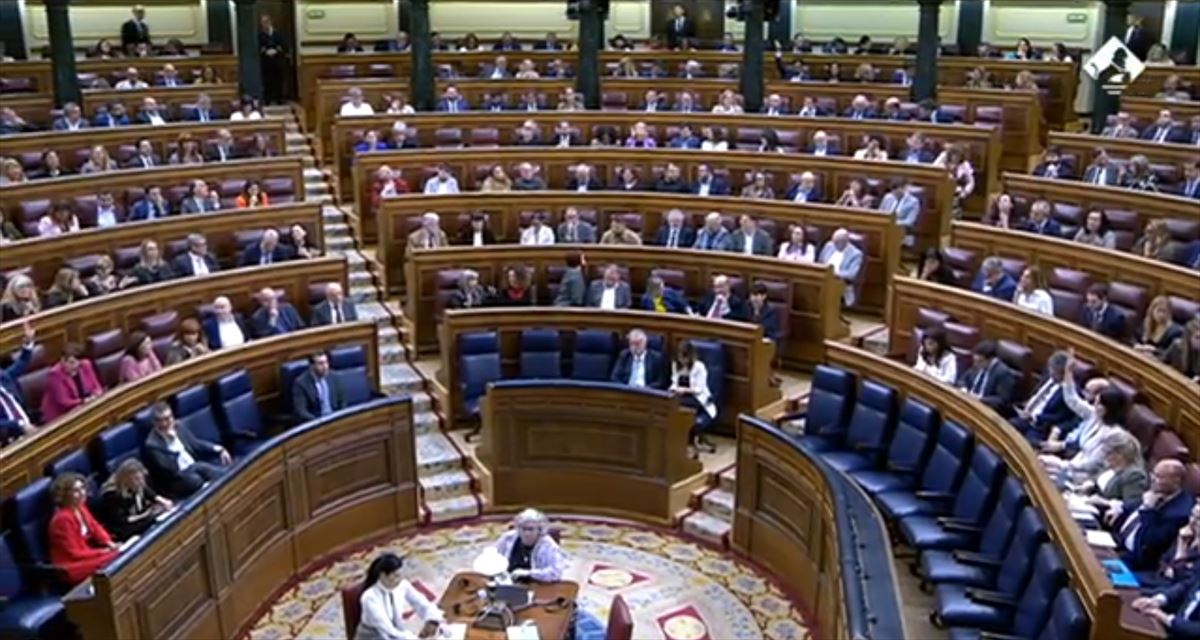 Momento de la votación de la moción de Vox.