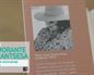 (23/04/2025) Kulturklik: Propuesta cultural de las librerías de Euskadi