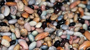 Kontsumobide detecta granos parasitados y moho en un 23 % de sus análisis a legumbres a la venta