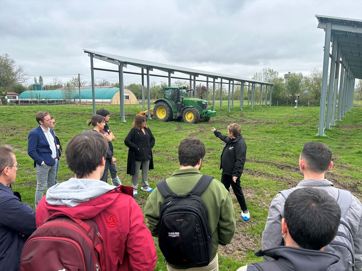 Arkautin gaur inauguratutako instalazio agrovoltaikoa