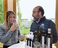 Oleoturismo: Asistimos a una cata de aceite de oliva en Artajo