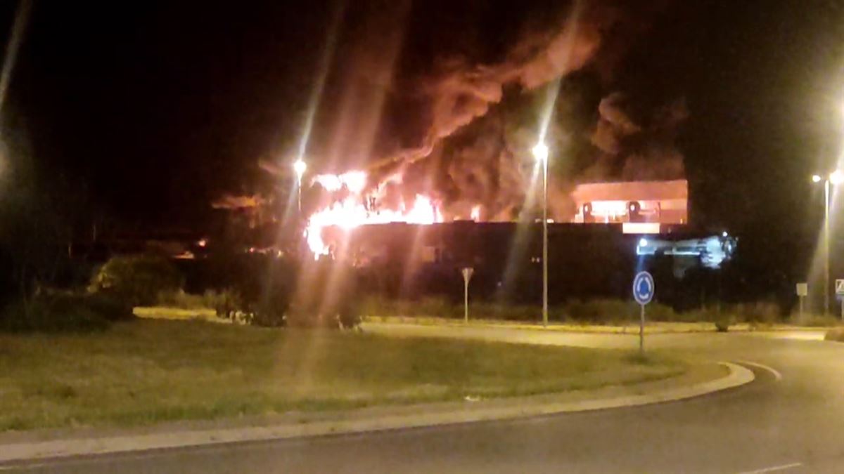 El Puntido industrialdean izan da sutea. Argazkia: Arabako Foru Aldundia