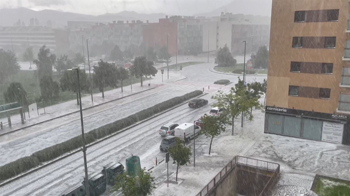 Txingorrak Nafarroa zuritu du