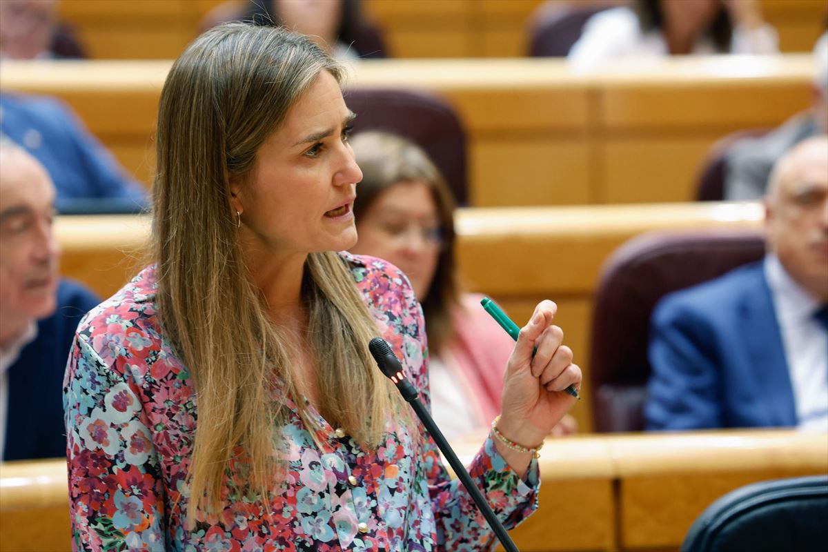Vice -President Third DL Spanish Government, Sara Aagesen, in the Senate. Photo: EFE