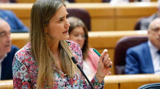 La vicepresidenta tercera dl Gobierno español, Sara Aagesen, en el Senado. Foto: EFE