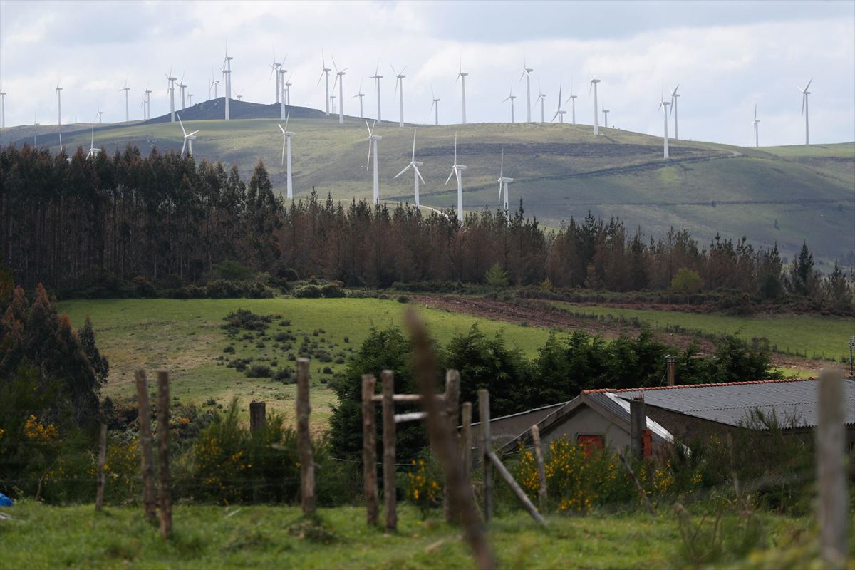 Vista de un parque eólico en el Concello de Muras, Lugo (Galicia). Foto: EFE