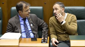 El Parlamento Vasco reclama avances en la euskaldunización de la justicia