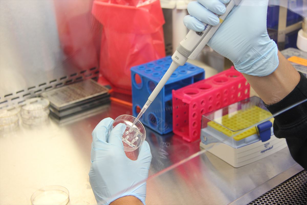 Imagen de un laboratorio. PXhere. 