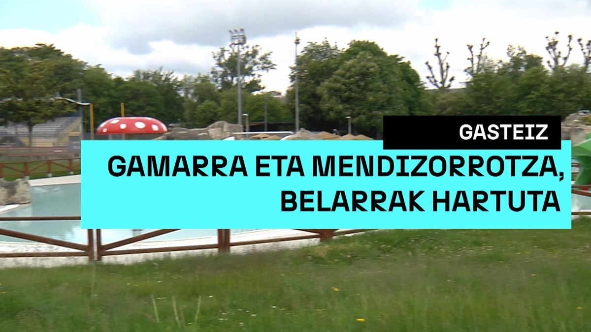 Lorezainen grebak Gamarrako eta Mendizorrotzako igerilekuen irekiera markatu du