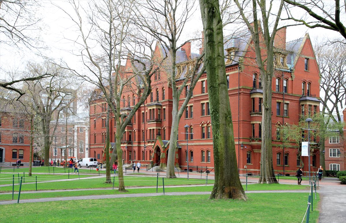 Universidad de Harvard. 