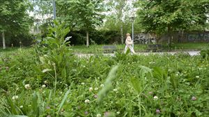 Imagen actual de un jardin de Vitoria-Gasteiz. Foto: EFE