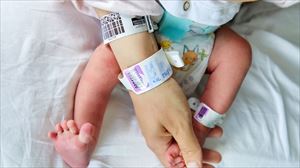 La CAV registró el año pasado 12 937 nacimientos, un 3,8 menos que en 2023 y la cifra más baja desde 1975