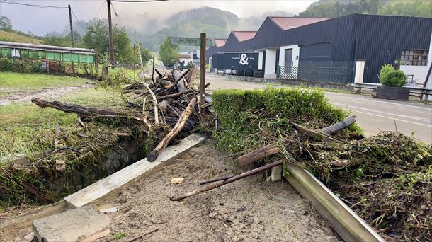 Arboles caídos al lado de la carretera entre Zaldibia y Ordizia. Foto: EITB Media