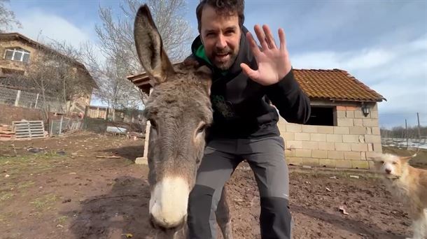  Mejores momentos en Atrápame si puedes