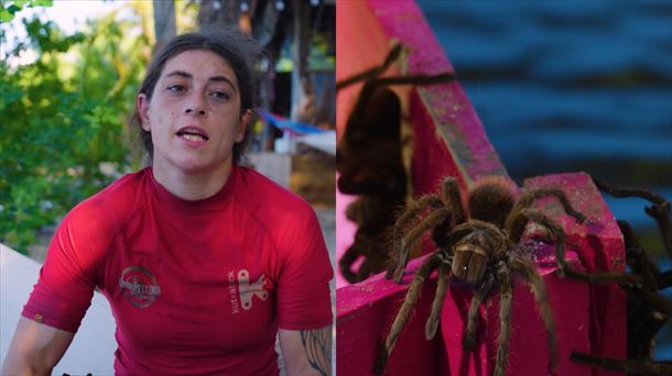 Marcela y las temidas cacatas del 