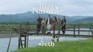 18 miradas abiertas a nuestra naturaleza, a partir del 31 de mayo, en ''Bizi Natura''