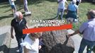 Urkiolako San Antonio erromeria, zuzenean, larunbatean ETB1en eta ETB ONen