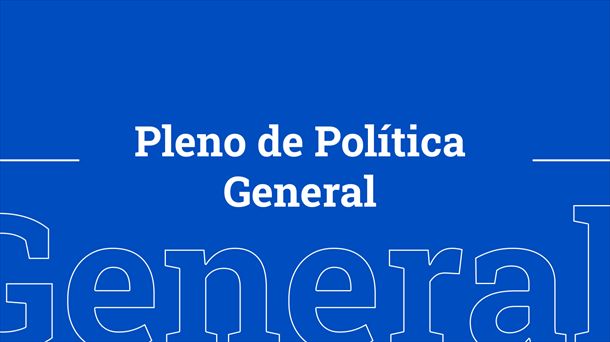 El Pleno de Política General, en EITB