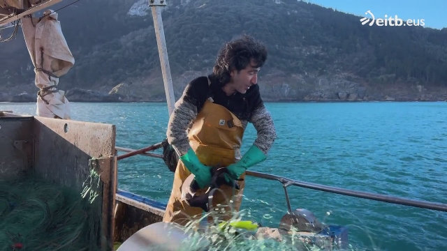 Nos vamos de pesca