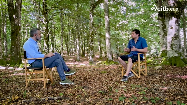 La salud de los bosques