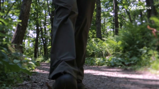 Gaixotasun emergenteei adi